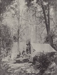 Ein Buschcamp, Tasmanien