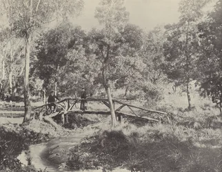 Eine rustikale Brücke, Ballarat Wasserreservat