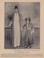 Ein ägyptischer Riese