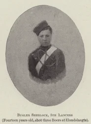 Hornist Sherlock, 5. Lancers