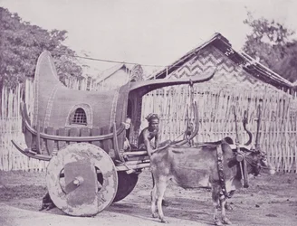 Burmesische Kutsche und Paar