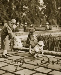 Spatzen füttern im Hyde Park