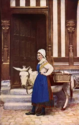 Frankreich: Eine Blume der Normandie