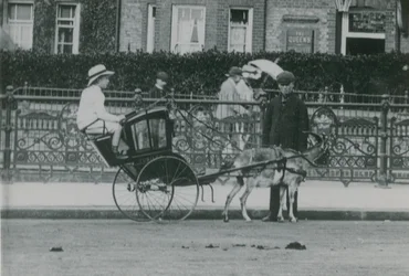 Ziegengezogener Transport