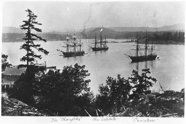 HMS Charybdis, HMS Satellite und HMS Cameleon in der Esquimalt Royal Navy Werft, British Columbia, ca. 1880er