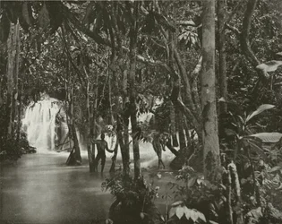 Jamaika: Blauer Pool-Roaring River, St Anns