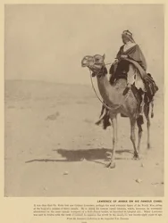 Lawrence von Arabien auf seinem berühmten Kamel