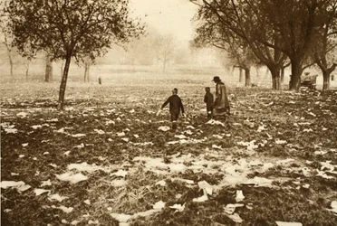 Mit Müll übersäte Wiese auf Hampstead Heath am Tag nach einem Feiertag, aus Wonderful London, veröffentlicht 1926-27