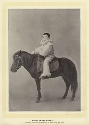 Master Franz Ebert