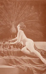 Nudistische Kunst: Neid