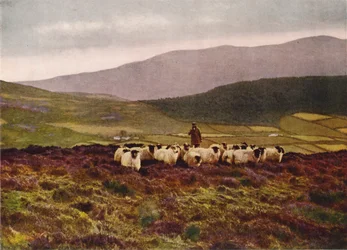 Auf den Mourne Mountains, County Down