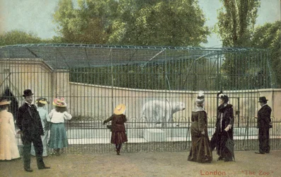 Menschen besuchen das Eisbärengehege im Londoner Zoo