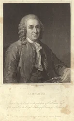 Porträt von Carl Linnaeus