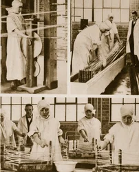Vorbereitung von Katgut in der eigenen Fabrik des Londoner Krankenhauses