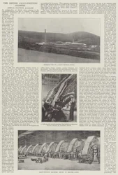 Die britische Kalikodruckindustrie