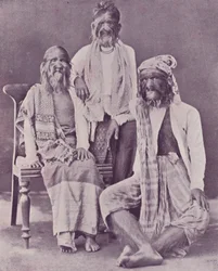 Die burmesische haarige Familie