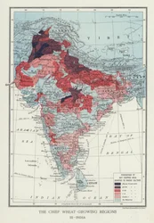 Die Hauptweizenanbaugebiete, Indien (Foto)