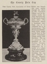 Der County Polo Cup