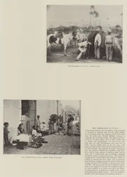 Die Rebellion in Kuba