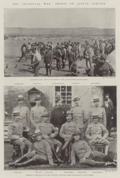 Der Transvaal-Krieg, Truppen im aktiven Dienst