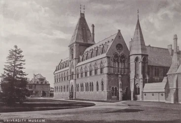 Universitätsmuseum
