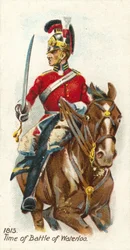 1813, Zeit der Schlacht von Waterloo