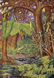 Ein Kohlenwald