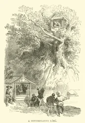 Ein kontemplativer Lama