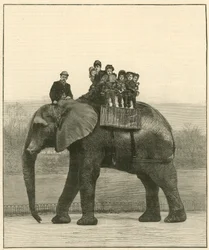 Eine Abschiedsfahrt auf Jumbo