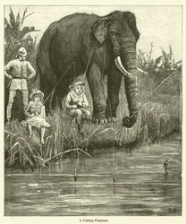 Ein fischender Elefant (Gravur)