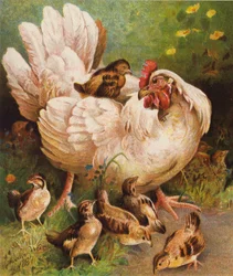 Eine glückliche Mutter