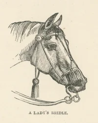 Ein Damenzaumzeug