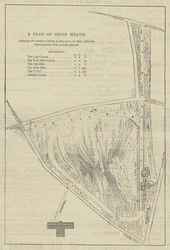Ein Plan von Ascot Heath (Gravur)