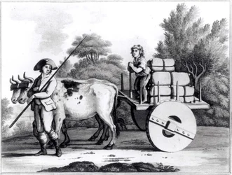 Eine portugiesische Farm, aus A General View of the State of Portugal von James Murphy, veröffentlicht 1797