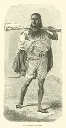 Abessinischer Füsilier