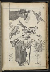 Illustration aus 