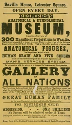 Werbung für Reimerss Anatomisches und Ethnologisches Museum
