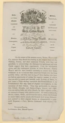 Werbung für White & Co