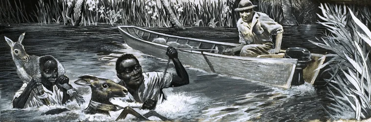 Afrikaner retten Tiere