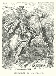 Alexander auf Bucephalus (Gravur)