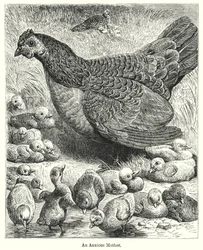 Eine besorgte Mutter