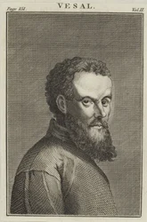 Andreas Vesalius