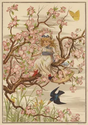 Apfelblüte