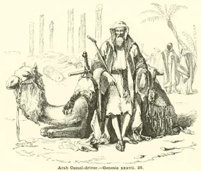 Arabischer Kamel-Treiber, Genesis, xxxvii, 25