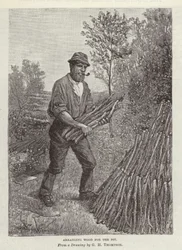 Holz für die Grube anordnen