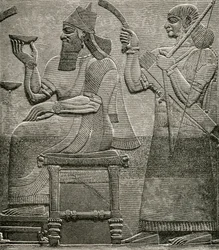 Ashur-nasir-pal II, von einem Basrelief im British Museum, aus The Worlds Inhabitants von G.T. Bettany, veröffentlicht 1888