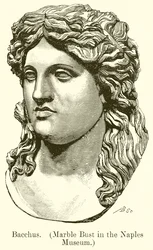 Bacchus. (Marmorbüste im Museum von Neapel) (Gravur)