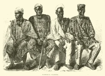 Bambarra-Pilger