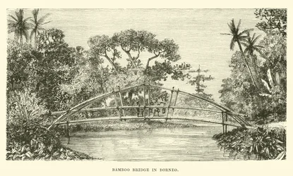 Bambusbrücke in Borneo