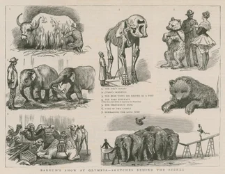 Barnums Show in Olympia - Skizzen hinter den Kulissen